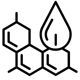 Michaelis Menten Equation Calculator Tool